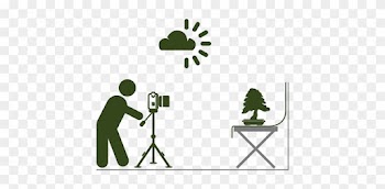 Place The Tree Against A Neutral Background - Camera Vector Side View