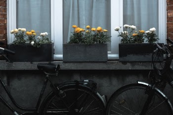 Plainness
https://www.instagram.com/kevin.muellr/