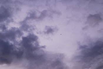 Plane on Purple Sky · Free Stock Photo
