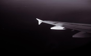          Plane Wing Span Free Photo     