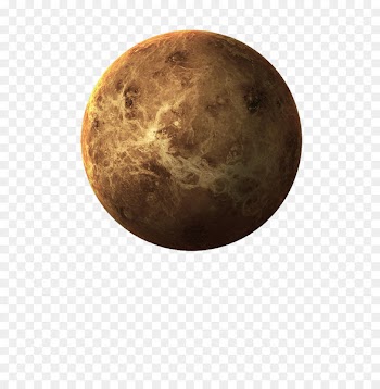 Planets in the universe 