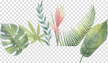 Plant Abstract art Description, plant transparent background PNG clipart