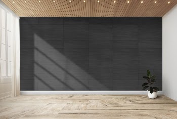 Plant against a black wall | Free PSD Mockup - rawpixel