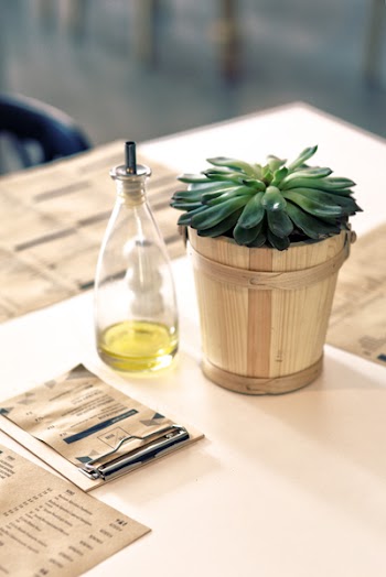 Plant &amp; oil on the table