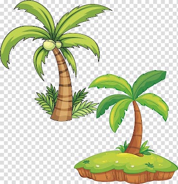 Plant Arecaceae Illustration, Beach tree transparent background PNG clipart