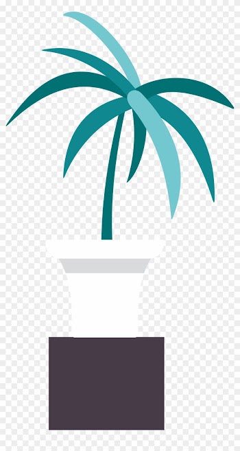 Plant Bonsai Bamboo - Plant Bonsai Bamboo