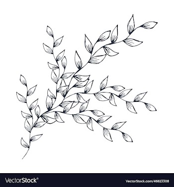 plant branches drawing