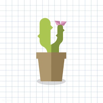 Plant cacti cactus | Free stock vector - 250685