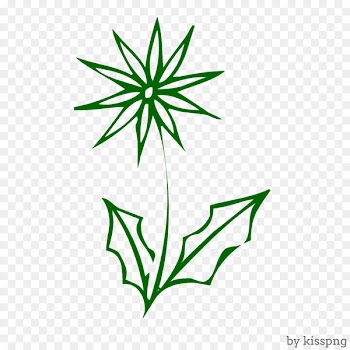 Plant, Cartoon.png - leaf 