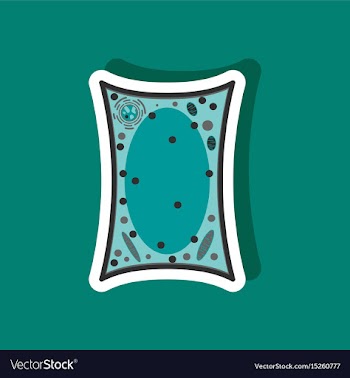 Plant cell paper sticker on stylish background vector image