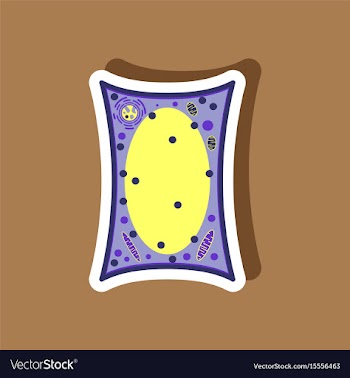 Plant cell paper sticker on stylish background vector image