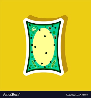Plant cell paper sticker on stylish background vector image