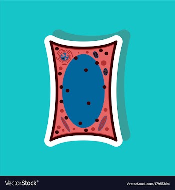 Plant cell paper sticker on stylish background vector image