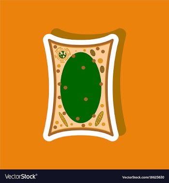 Plant cell paper sticker on stylish background vector image