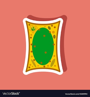 Plant cell paper sticker on stylish background vector image