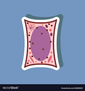 Plant cell paper sticker on stylish background vector image