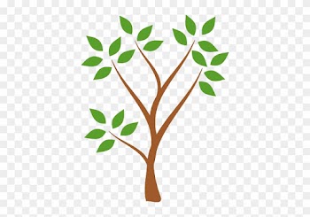Plant Clipart No Background - Simple Tree