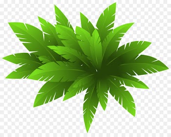 Plant CorelDRAW Clip art - Green Plant Decoration PNG Clipart Image 