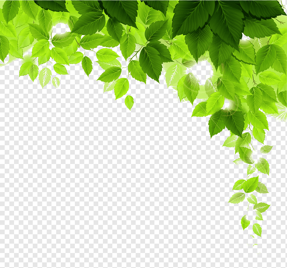Plant Desktop Tree, green leaves, leaf, branch, computer Wallpaper png