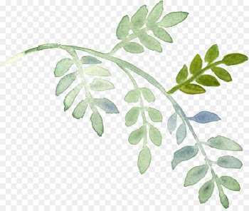 Plant Download Watercolor painting - Hand-painted watercolor leaves 