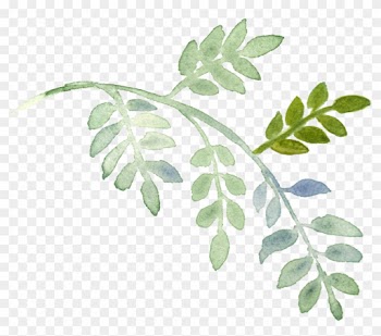 Plant Download Watercolor Painting - Water Color Flowers And Greenery