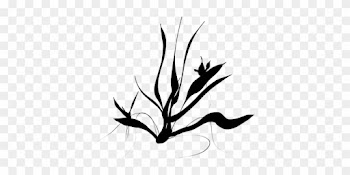Plant, Ferns, Shrub, Short, Leaf, Nature - Aqua Plant Vector