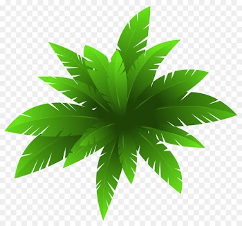 Plant Flower Clip art - Green Plant Decoration PNG Image 