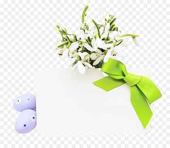 plant flower grass