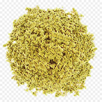 plant food celery salt ingredient cuisine