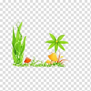 Plant, forest transparent background PNG clipart