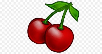 plant fruit cherry natural foods red