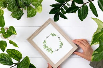 Plant graphics on picture frame in plant… | Free stock photo | High Resolution image