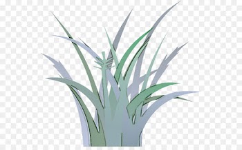 plant grass houseplant leaf flower