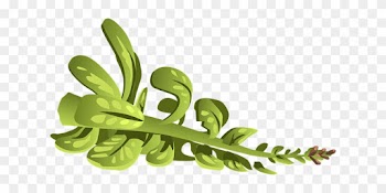 Plant, Green, Leaves, Branch, Nature - Clip Art