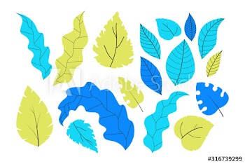 Plant healthy leaves for decoration