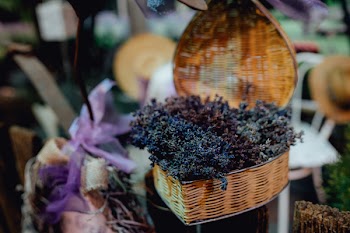 Plant In Brown Wicker Heart Basket