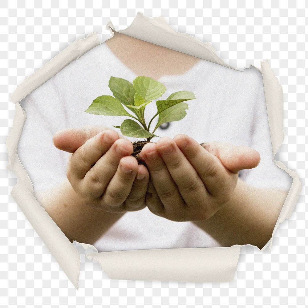 Plant in hands png badge | Free PNG - rawpixel