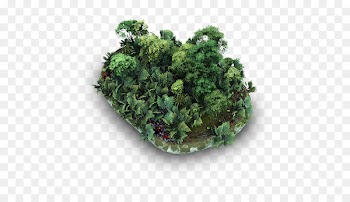 plant kale herb flowerpot shrub - Grassy Stone 