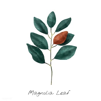 Plant leaves | Free stock vector - 380540