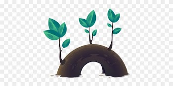 Plant Leaves Growth Tree Nature Green Envi - Φυλλάδια Προπαιδειασ