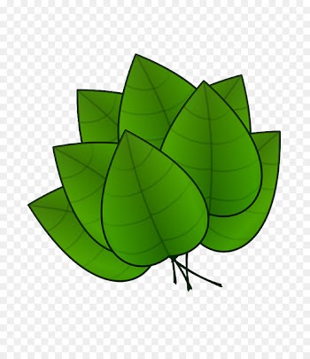 Plant Leaves Leaf Clip art - folha 
