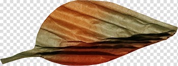 Plant Leaves Maple leaf, Autumn leaves transparent background PNG clipart