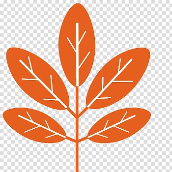 Plant leaves transparent background PNG clipart
