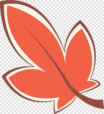 Plant , Leef transparent background PNG clipart