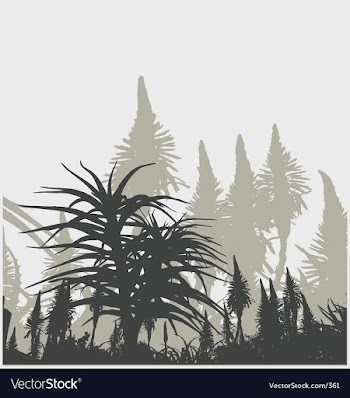 Plant life vector image