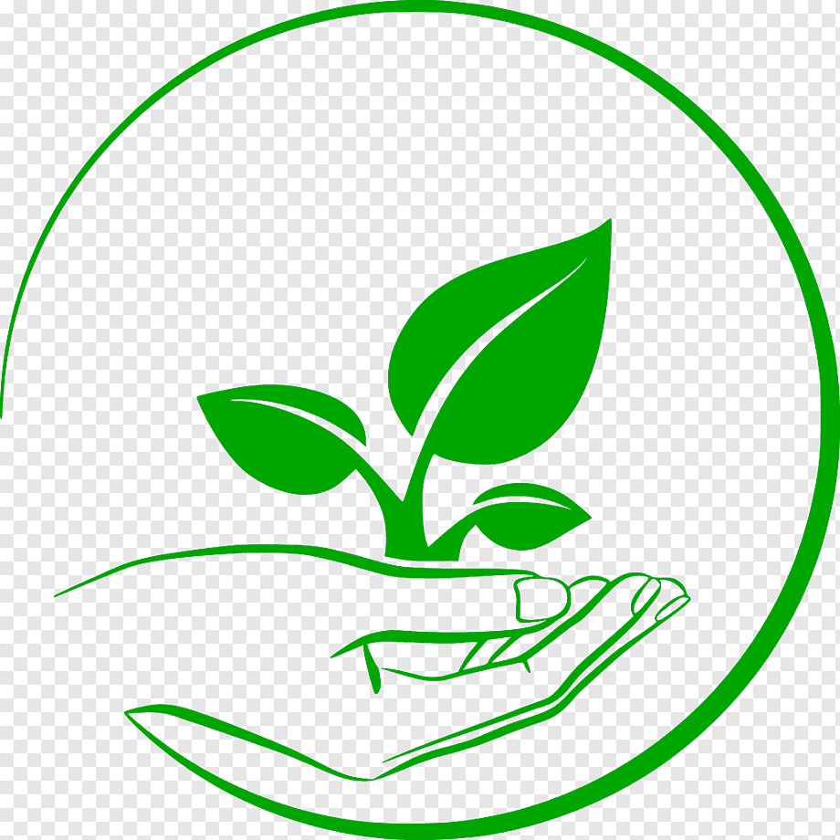 Plant Logo graphy, rice, leaf, grass, plant Stem png