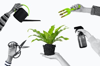 Plant lover background houseplant gardening… | Free stock illustration | High Resolution graphic