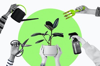 Plant lover background houseplant gardening… | Free stock illustration | High Resolution graphic