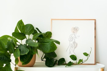 Plant lover home decor with picture frame | Free stock photo | High Resolution image