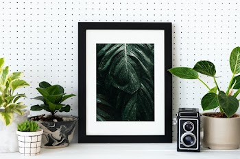Plant lover home decor with picture frame | Free stock photo | High Resolution image